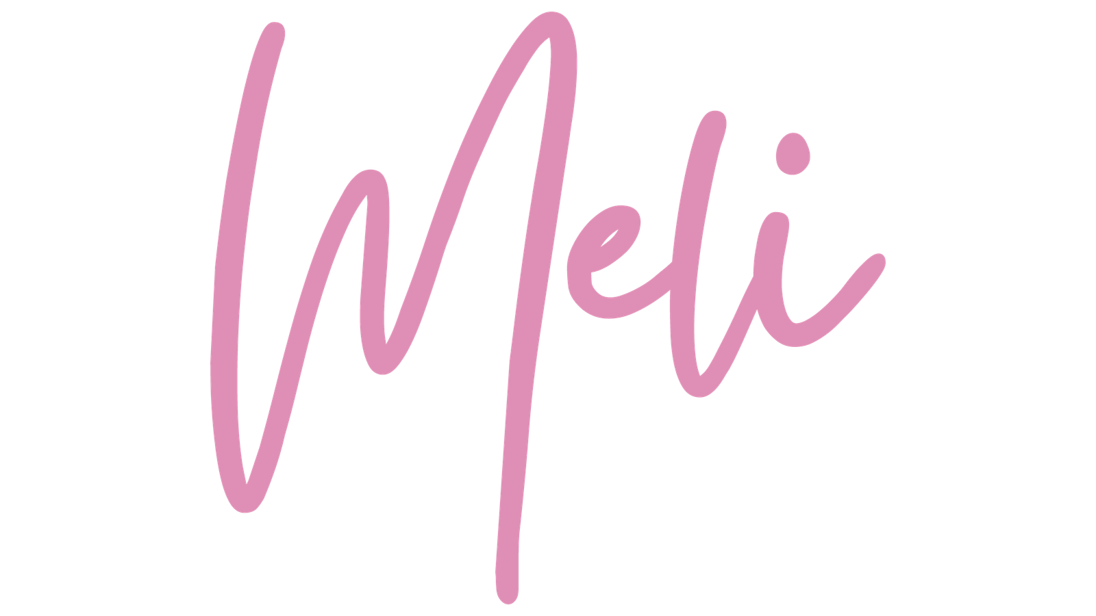 Portafolio Melissa Lopez